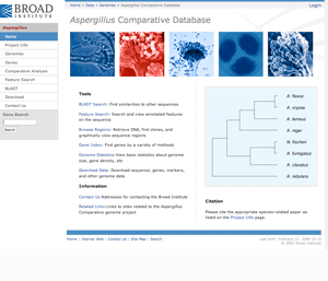Work Web43