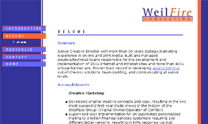 WeilFire Consulting